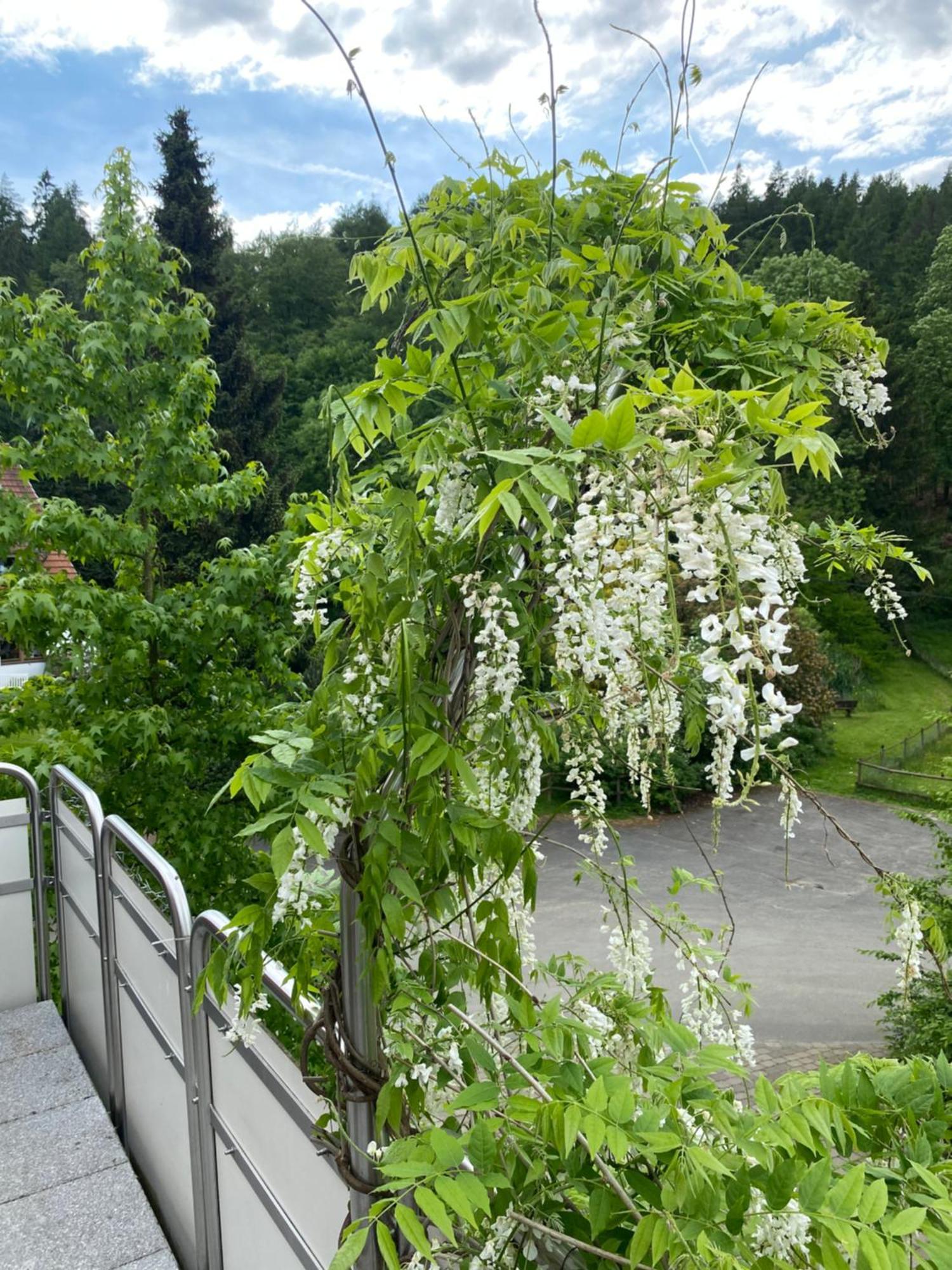 بيليفيلد Ferienhof Kroeger المظهر الخارجي الصورة